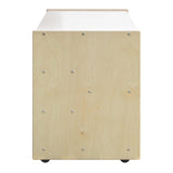 2 Sided Workstation with Cubbies on Casters | Trojan Classroom Furniture Easels & Art Trojan Classroom Furniture 