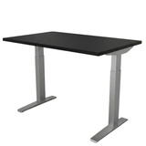 Triumph LX | Electric Sit-Stand Table