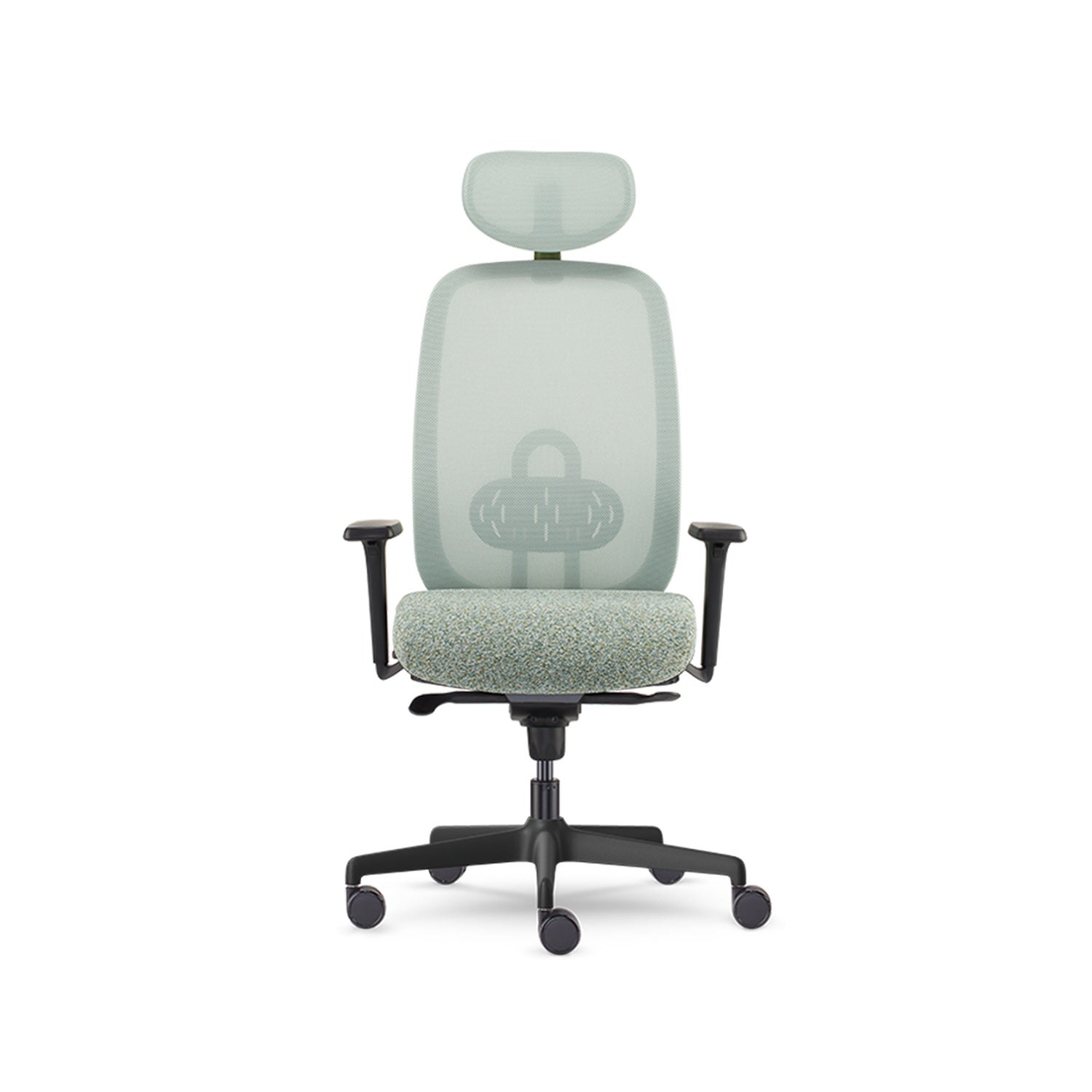 Olive — Allseating Olive in Grove