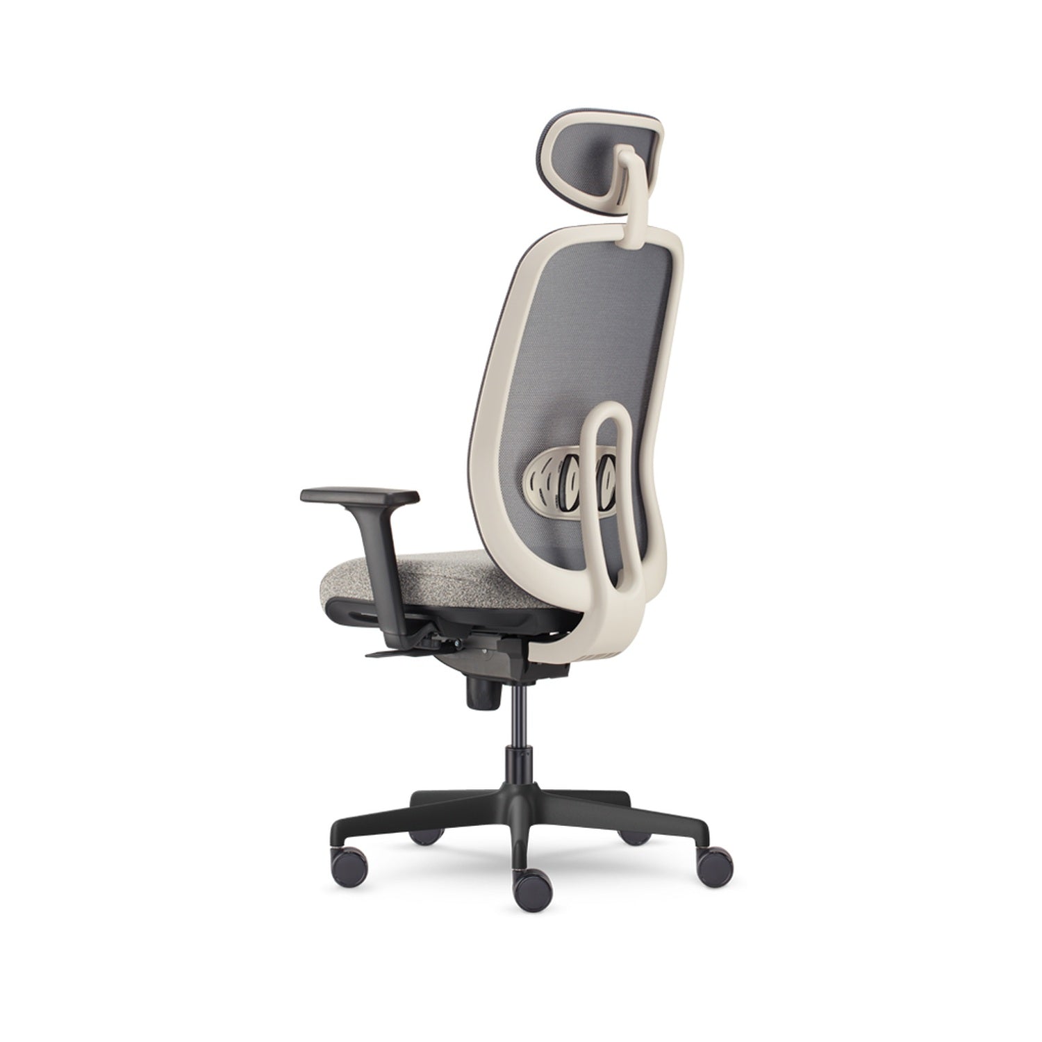 Olive — Allseating Olive in Crema