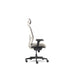 Olive — Allseating Olive in Crema
