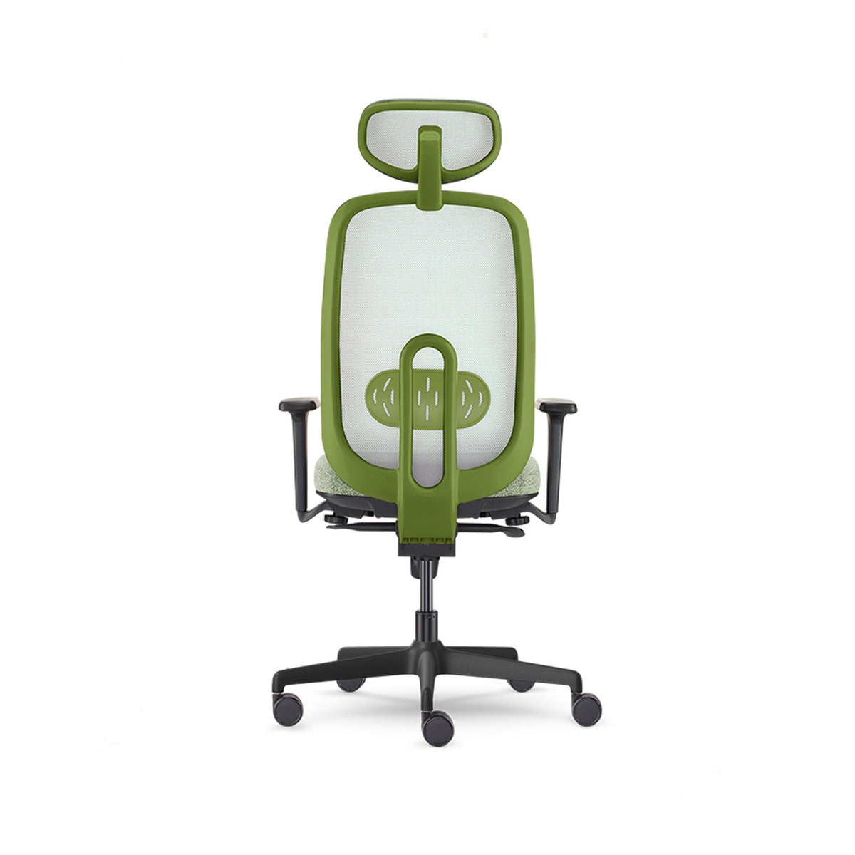 Olive — Allseating Olive in Grove