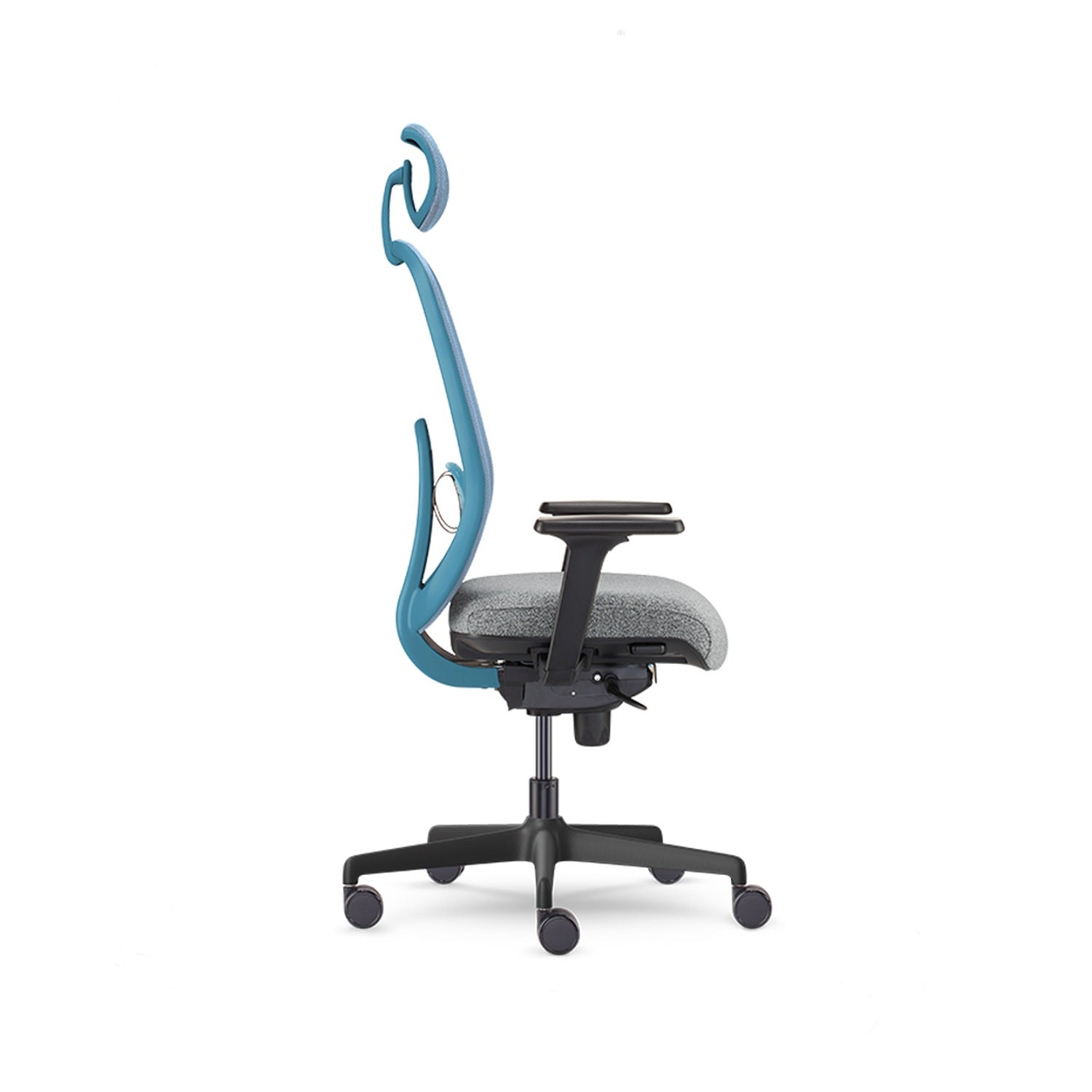 Olive — Allseating Olive in Azure