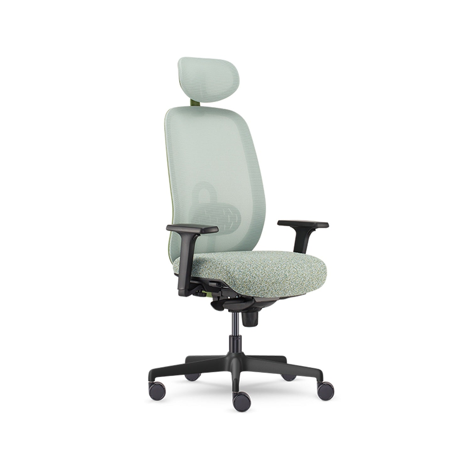 Olive — Allseating Olive in Grove