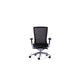 Balance Executive by Workspace48 — manufacturer illustration; optional components may be shown