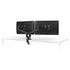 Edge2 | Dual Monitor Arm Dual Monitor Arm Fellowes 