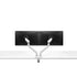 Kata | Dual Monitor Arm Dual Monitor Arm Fellowes 