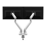 Kata | Dual Monitor Arm Dual Monitor Arm Fellowes 