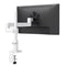 Kata EX1-F | Single Monitor Arm Single Monitor Arm Fellowes 