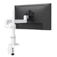 Kata EX1-F | Single Monitor Arm Single Monitor Arm Fellowes 