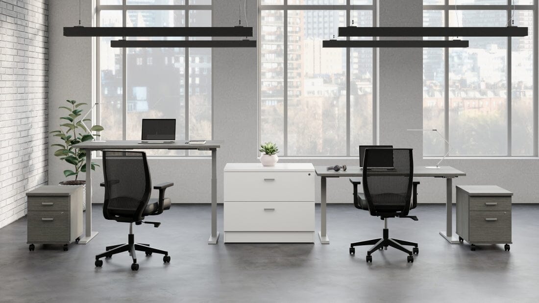Newland Electric Height Adjustable Tables | Studios to Workbenches | Offices To Go Height Adjustable Table OfficesToGo 