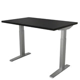 Triumph LX | Electric Sit-Stand Table Height Adjustable Table Fellowes 