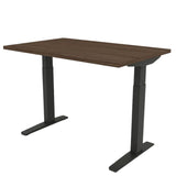 Triumph LX | Electric Sit-Stand Table Height Adjustable Table Fellowes 