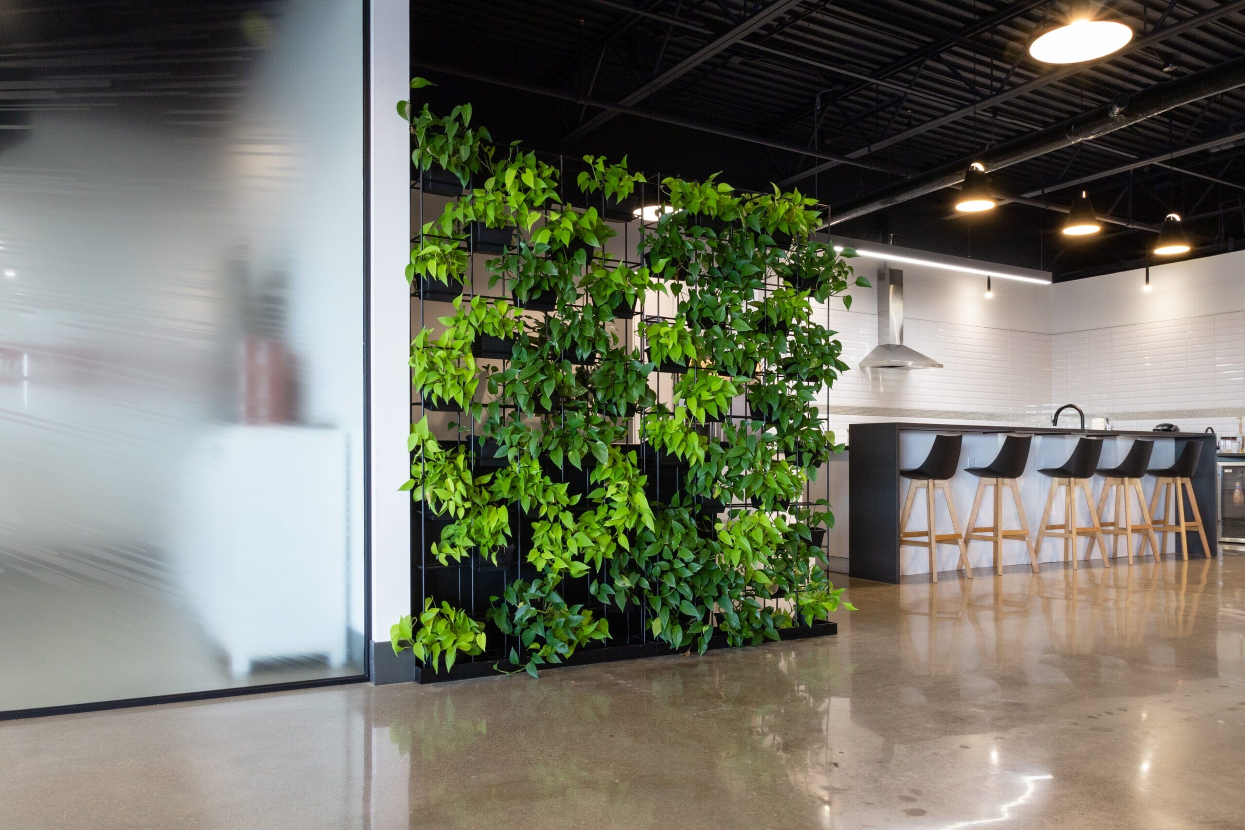 Viro Planter Wall – Transform Workspaces with Living Design Planter Wall, Privacy Screen Workspace 48 