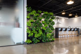 Viro Planter Wall – Transform Workspaces with Living Design Planter Wall, Privacy Screen Workspace 48 