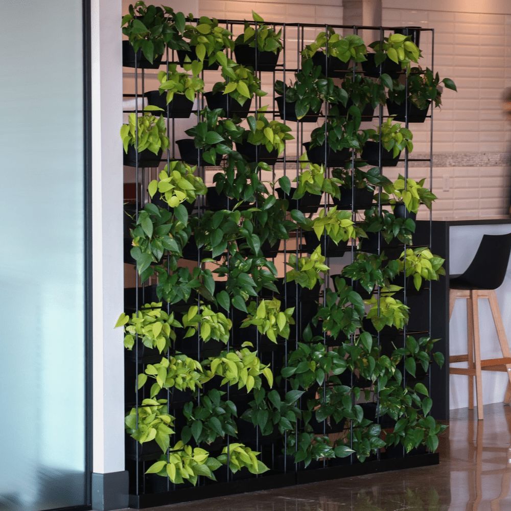 Viro Planter Wall – Transform Workspaces with Living Design Planter Wall, Privacy Screen Workspace48 