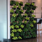 Viro Planter Wall – Transform Workspaces with Living Design Planter Wall, Privacy Screen Workspace48 