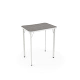 Intellect Wave 4-Leg Desk Laminate Top Classroom Desks, Sit-to-Stand KI Edge Color Frosty White Frame Color Cottonwood Laminate Color Sterling Ash